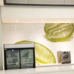 GlassKote South Africa 23 Backpaintedglass9